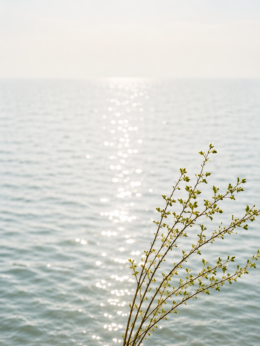 BaseLife brand banner representing thoughtfully formulated sunscreen designed for comfortable everyday wear.